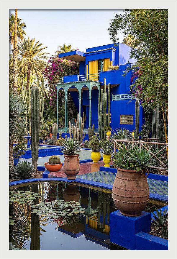 Majorelle Garden Serenity
