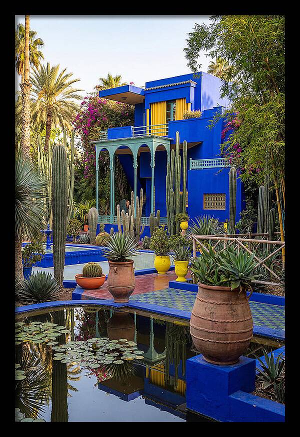 Majorelle Garden Serenity