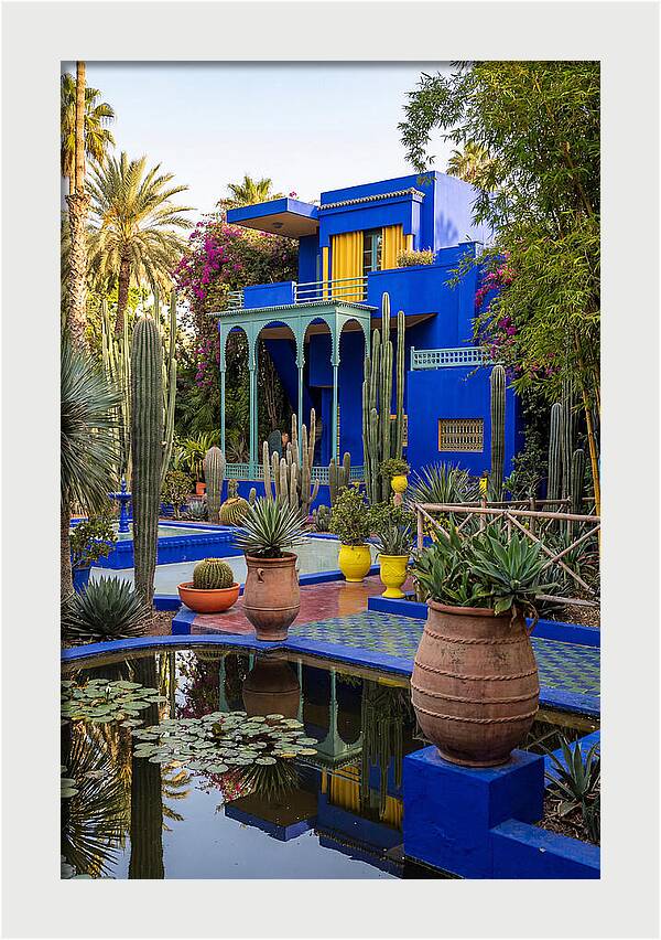 Majorelle Garden Serenity