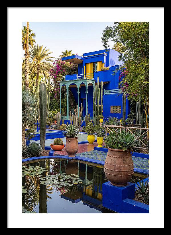 Majorelle Garden Serenity