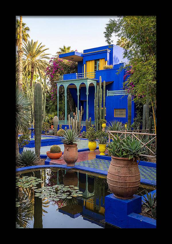 Majorelle Garden Serenity