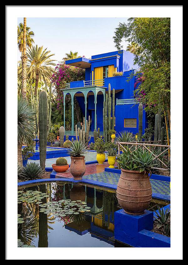 Majorelle Garden Serenity