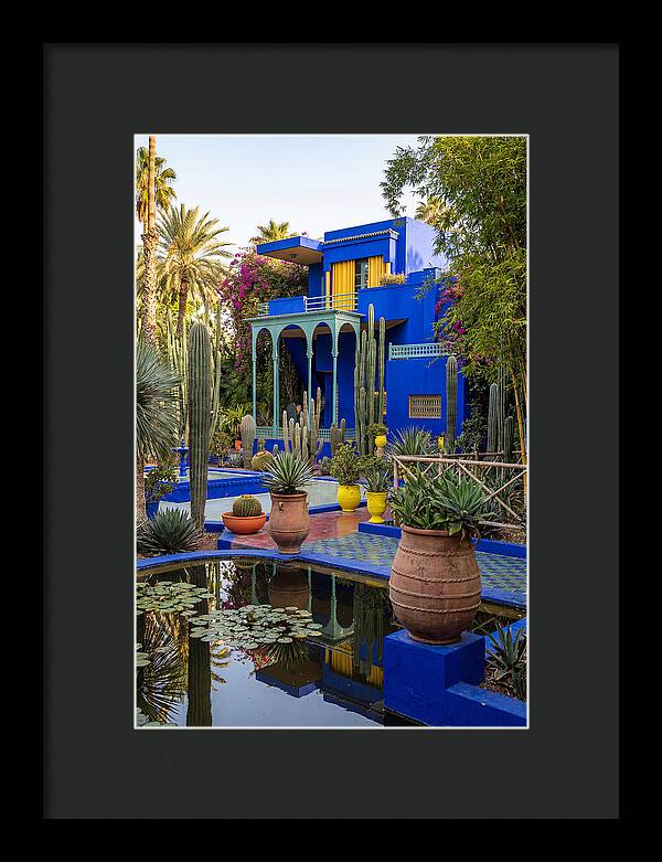 Majorelle Garden Serenity
