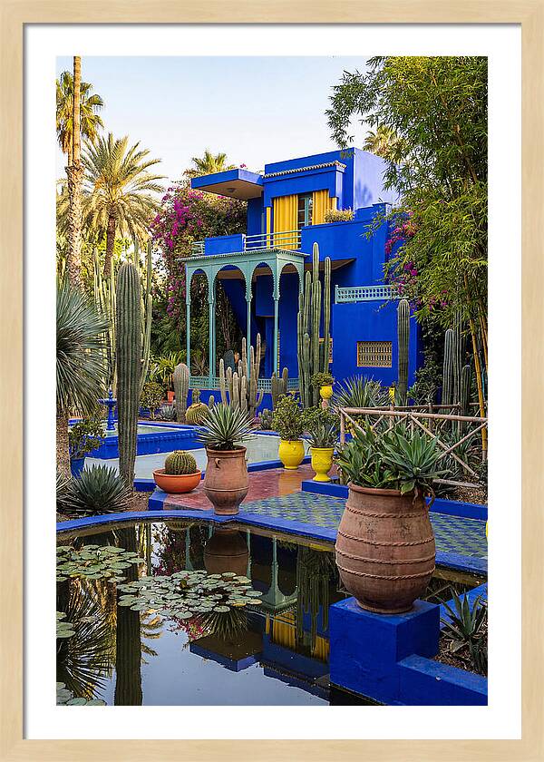 Majorelle Garden Serenity
