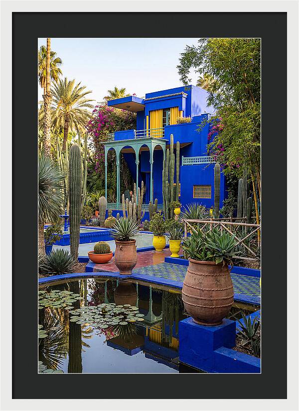 Majorelle Garden Serenity