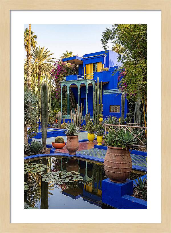 Majorelle Garden Serenity