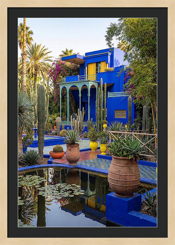 Majorelle Garden Serenity