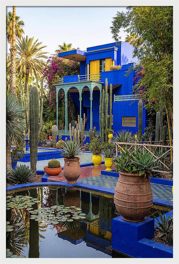 Majorelle Garden Serenity