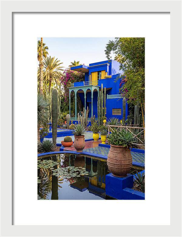 Majorelle Garden Serenity