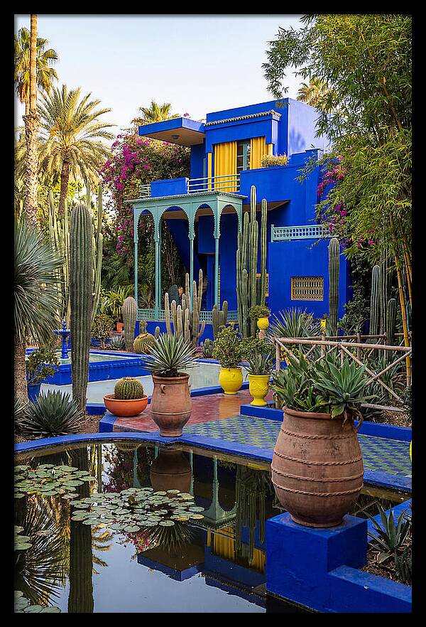 Majorelle Garden Serenity