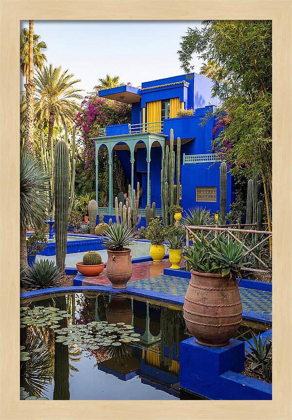 Majorelle Garden Serenity
