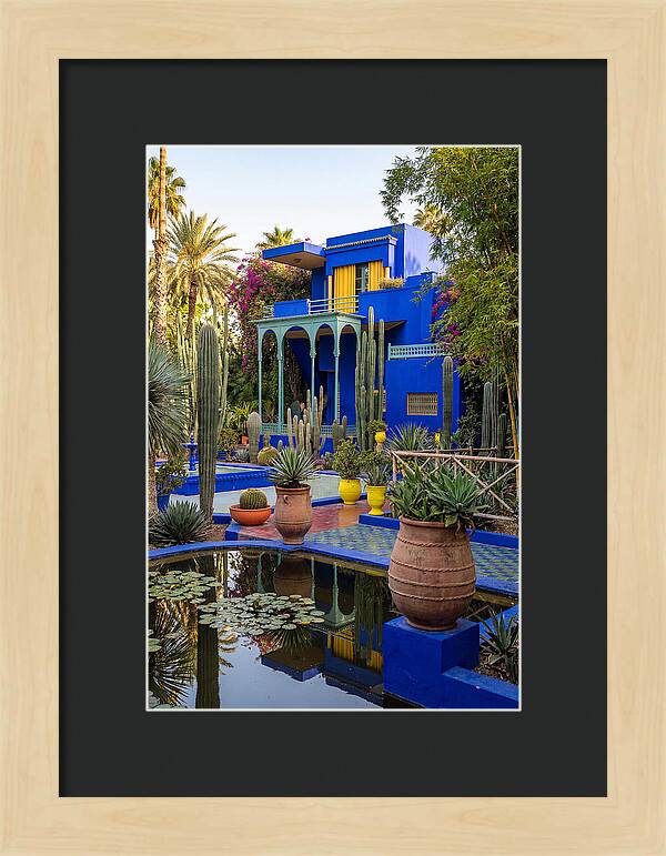 Majorelle Garden Serenity