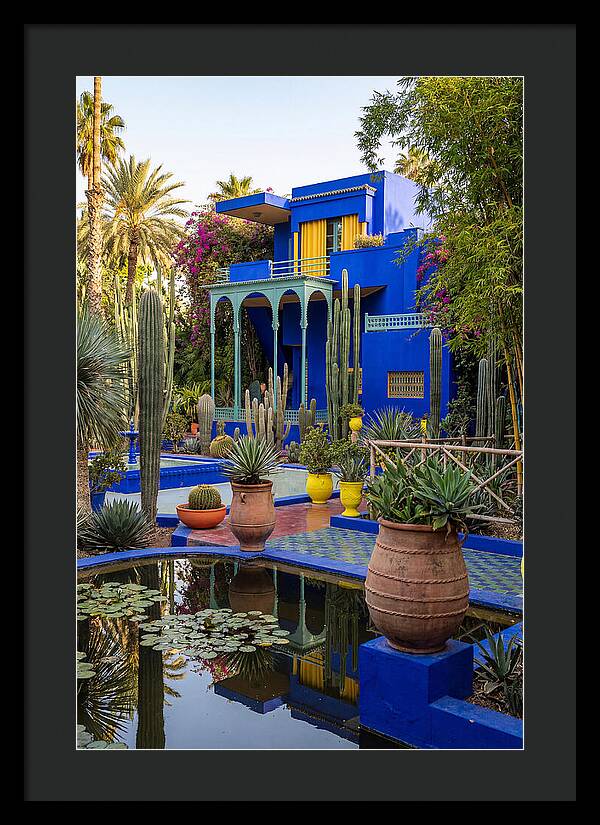 Majorelle Garden Serenity