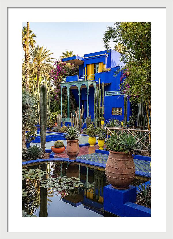 Majorelle Garden Serenity