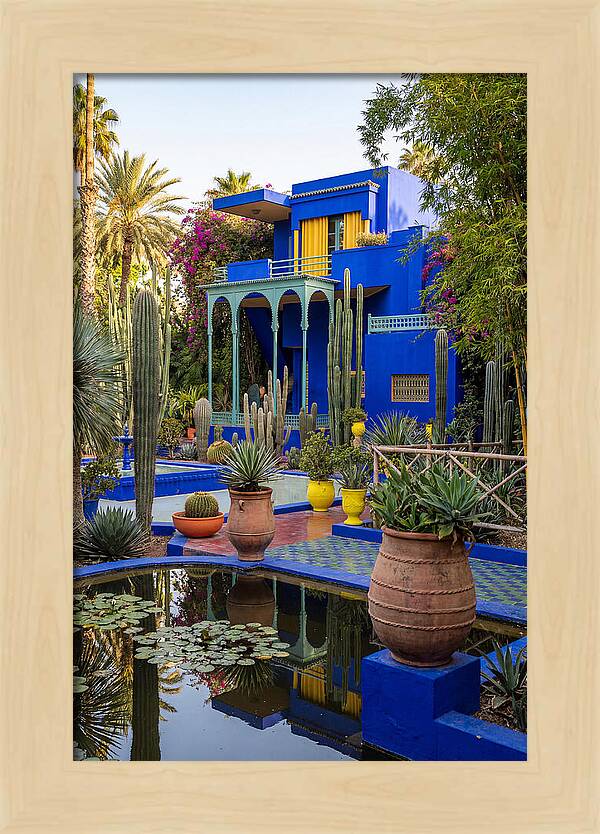 Majorelle Garden Serenity