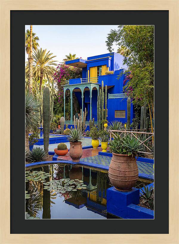 Majorelle Garden Serenity