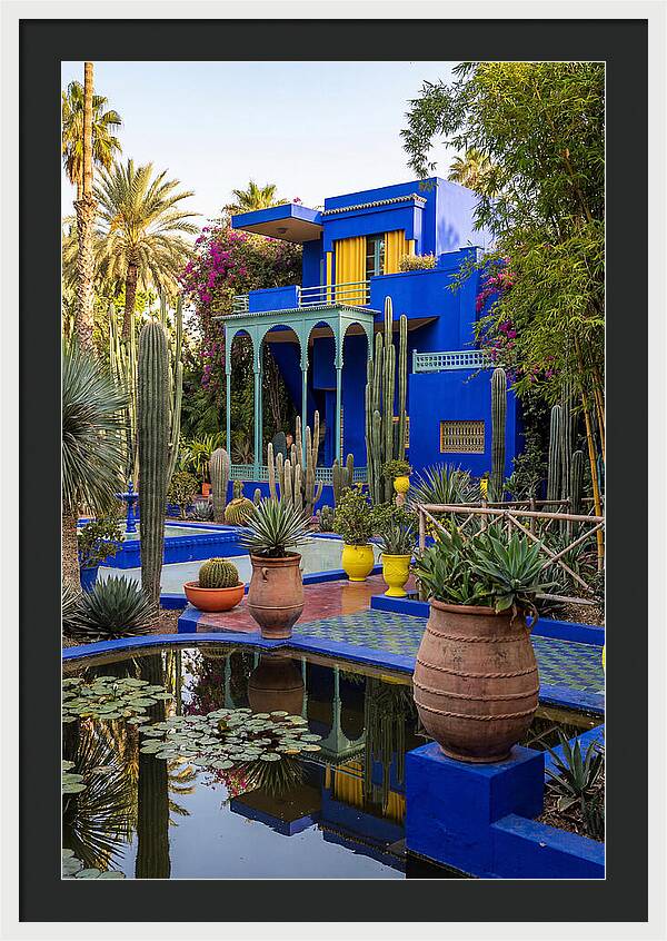 Majorelle Garden Serenity