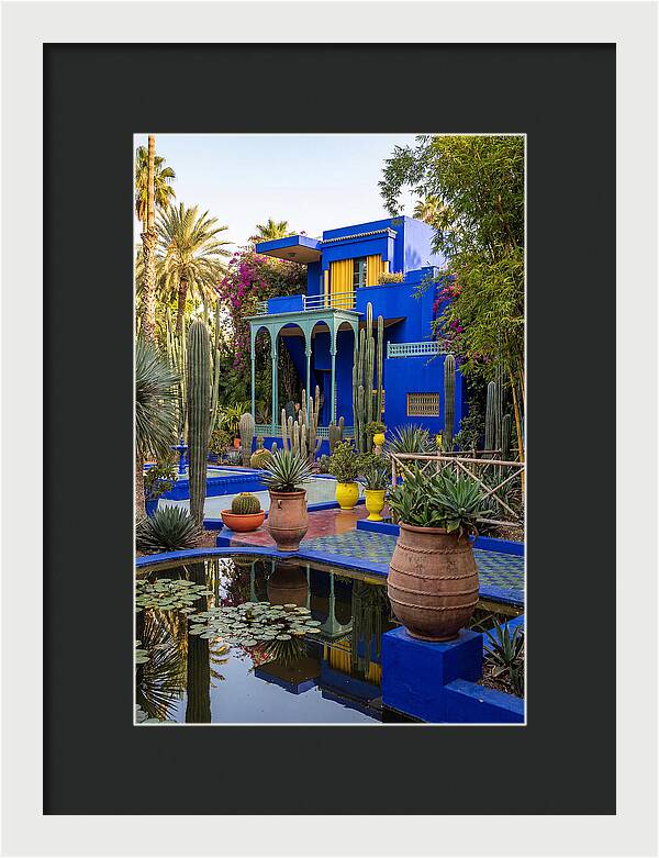 Majorelle Garden Serenity