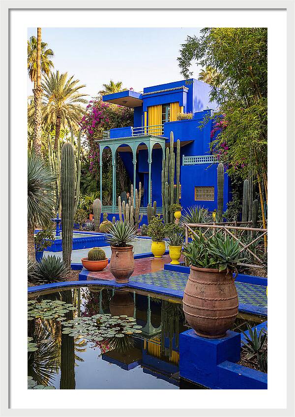 Majorelle Garden Serenity