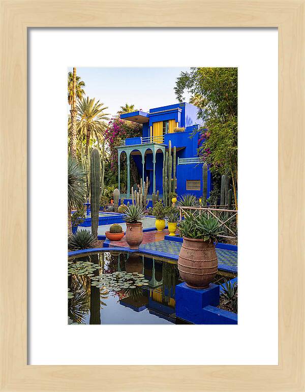 Majorelle Garden Serenity