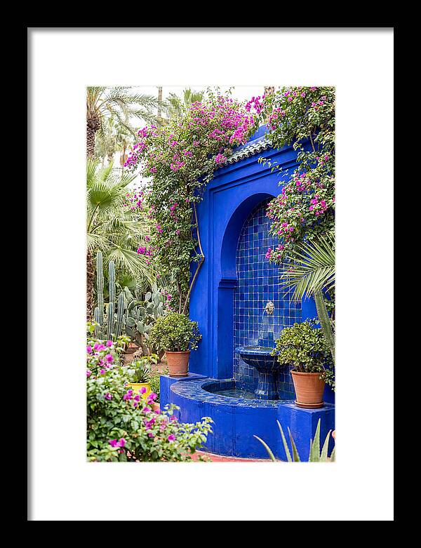 Majorelle Garden Tranquility