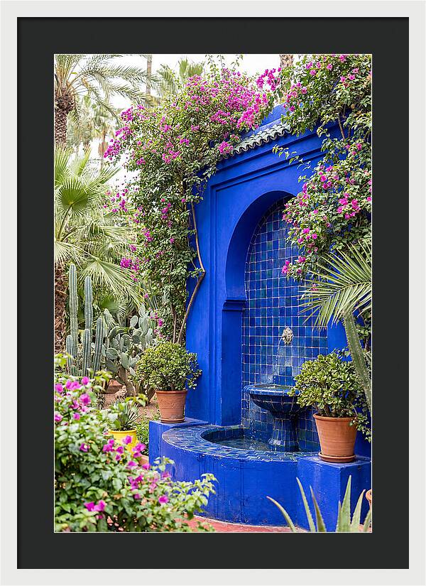 Majorelle Garden Tranquility