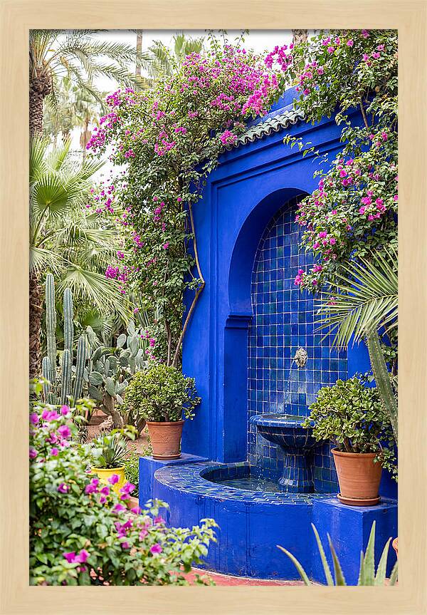 Majorelle Garden Tranquility