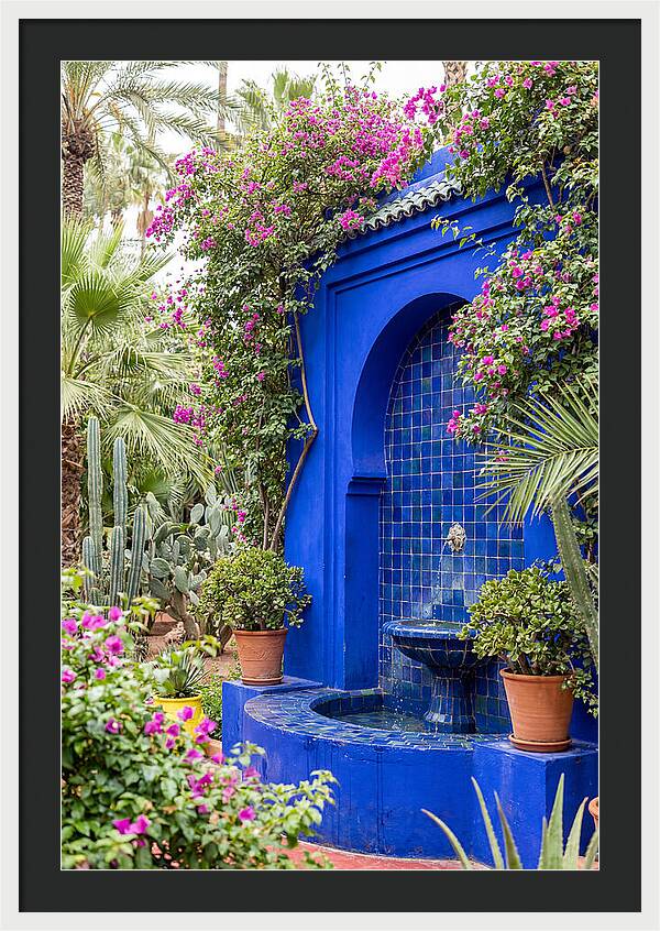 Majorelle Garden Tranquility