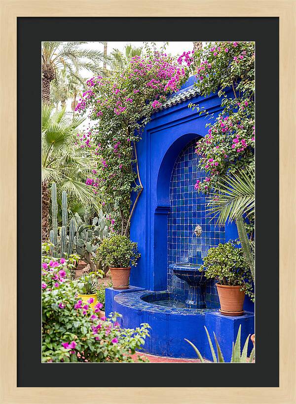 Majorelle Garden Tranquility