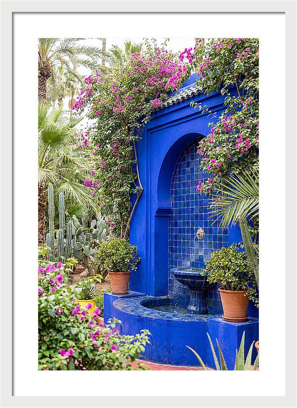Majorelle Garden Tranquility
