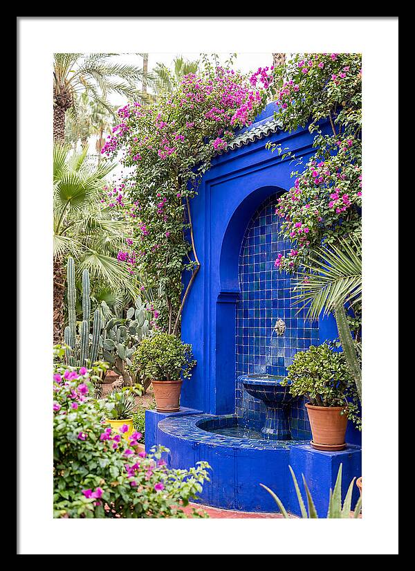Majorelle Garden Tranquility