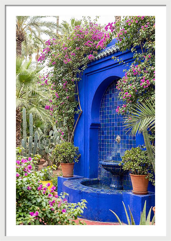 Majorelle Garden Tranquility