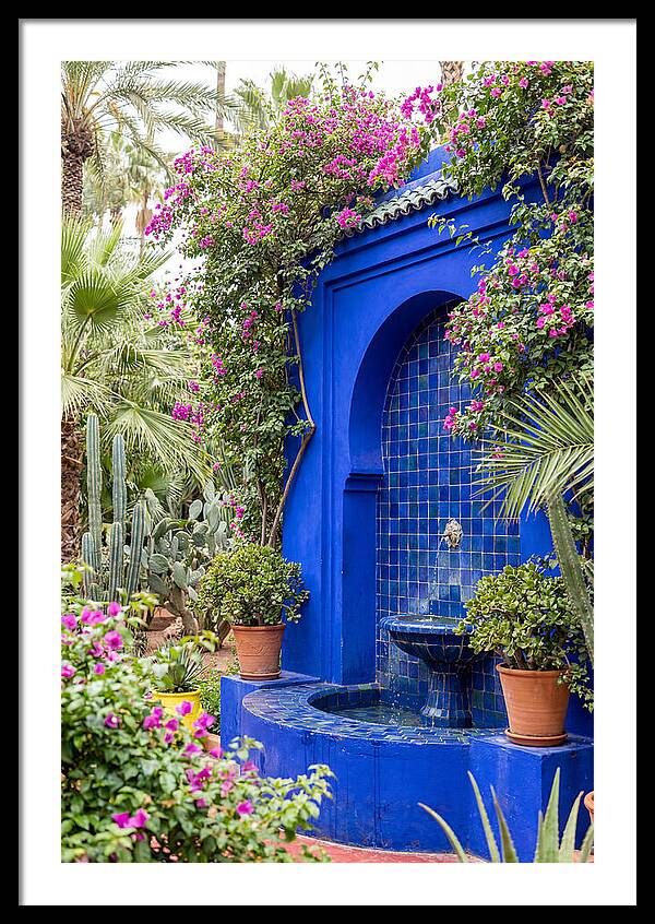 Majorelle Garden Tranquility