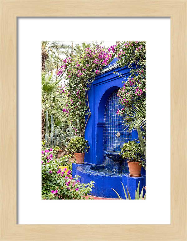 Majorelle Garden Tranquility