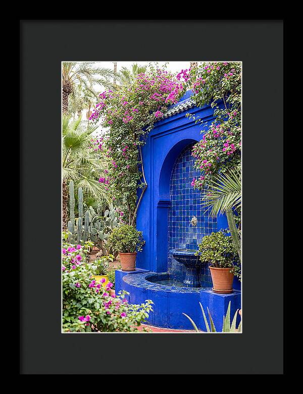 Majorelle Garden Tranquility