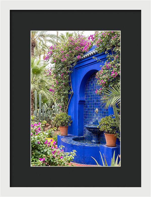 Majorelle Garden Tranquility
