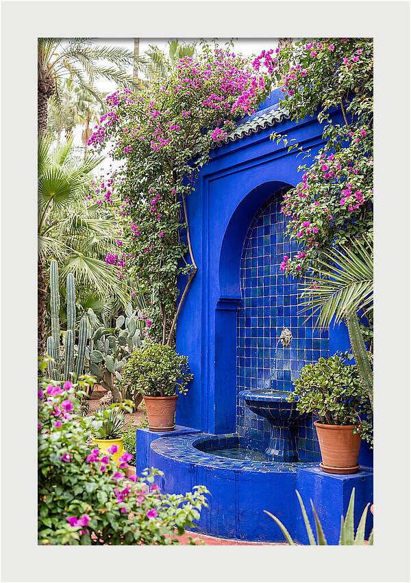 Majorelle Garden Tranquility