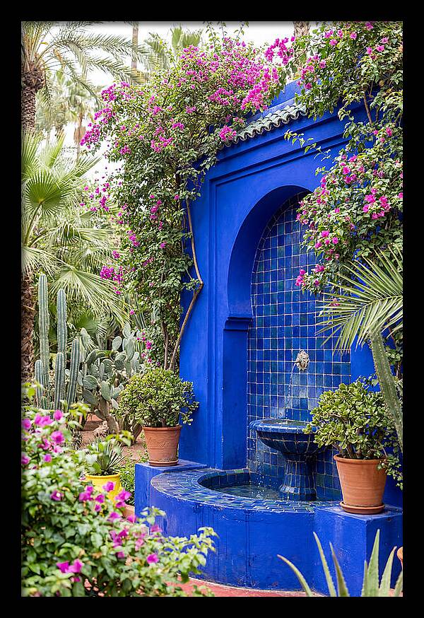 Majorelle Garden Tranquility