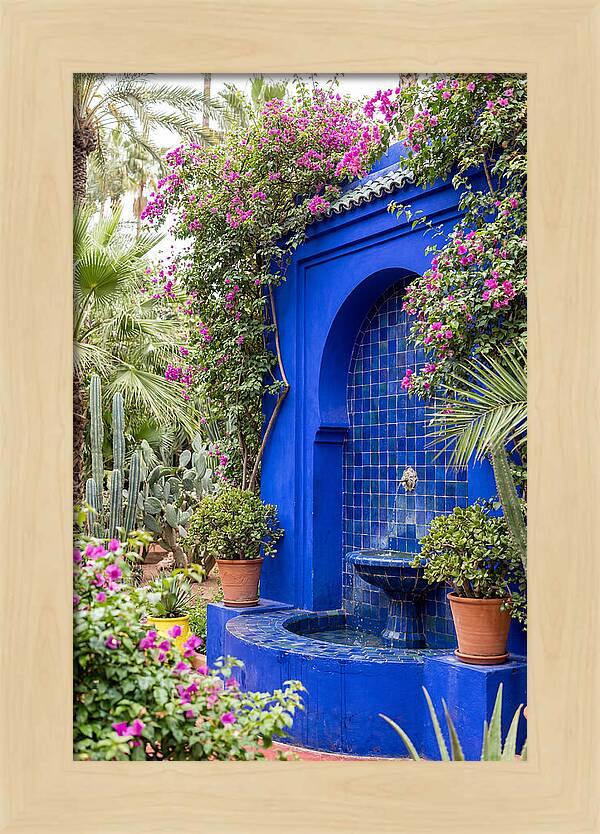 Majorelle Garden Tranquility