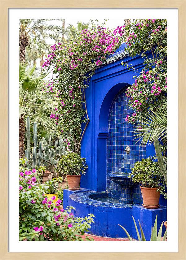 Majorelle Garden Tranquility