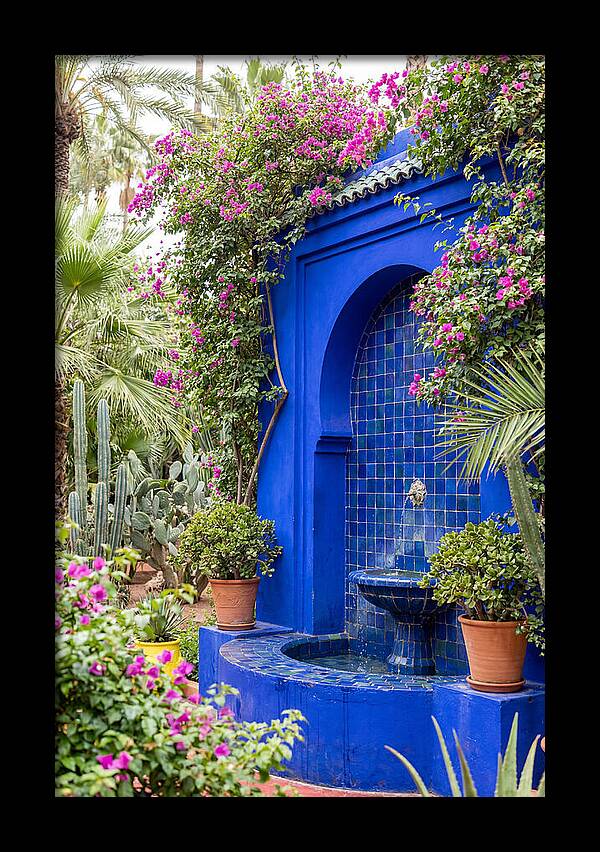 Majorelle Garden Tranquility
