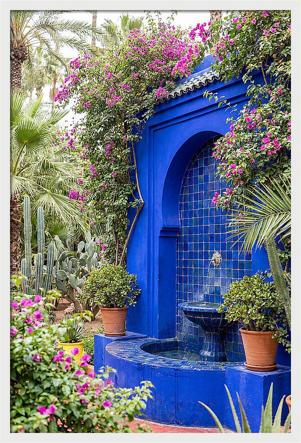Majorelle Garden Tranquility