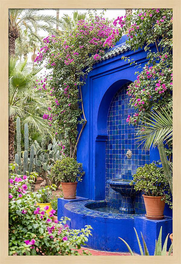 Majorelle Garden Tranquility