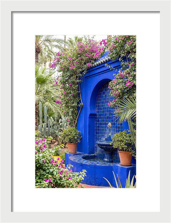 Majorelle Garden Tranquility