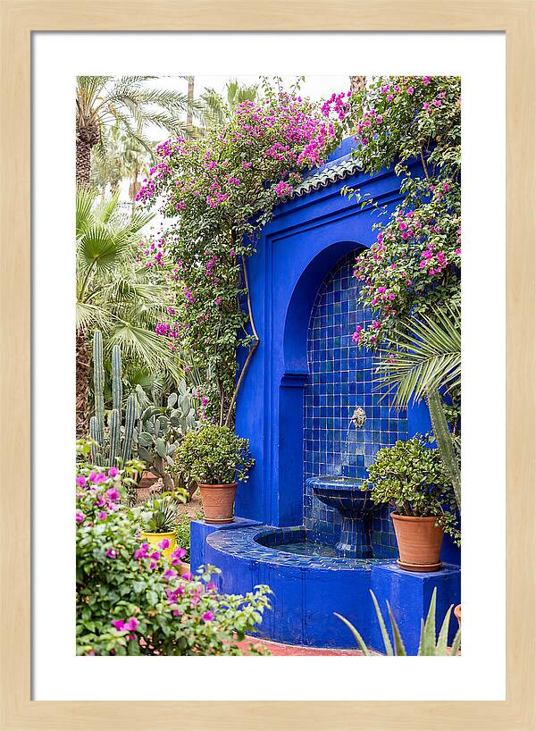 Majorelle Garden Tranquility