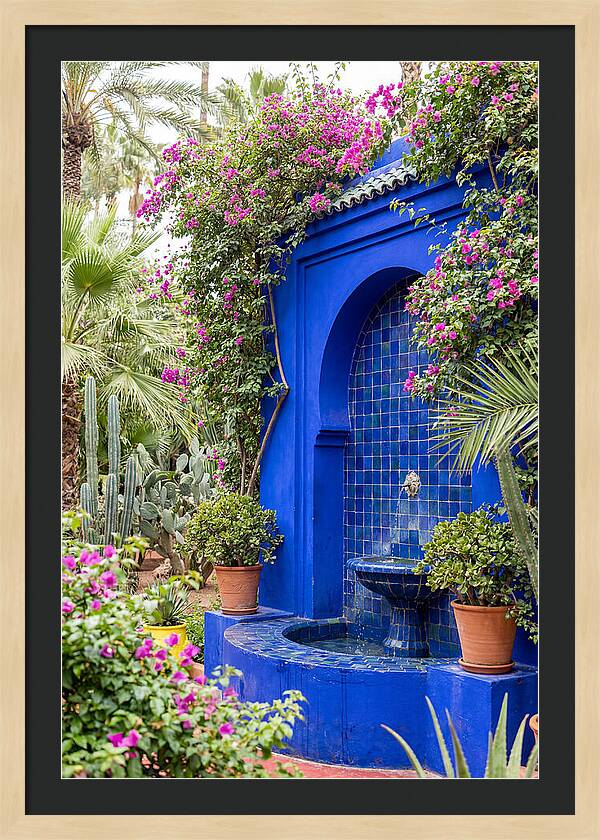 Majorelle Garden Tranquility