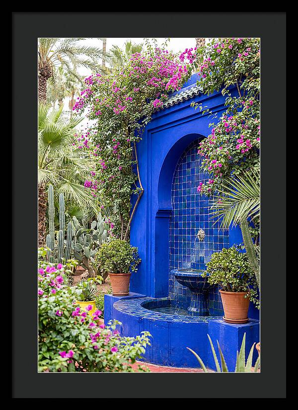 Majorelle Garden Tranquility