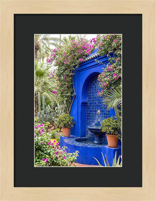 Majorelle Garden Tranquility