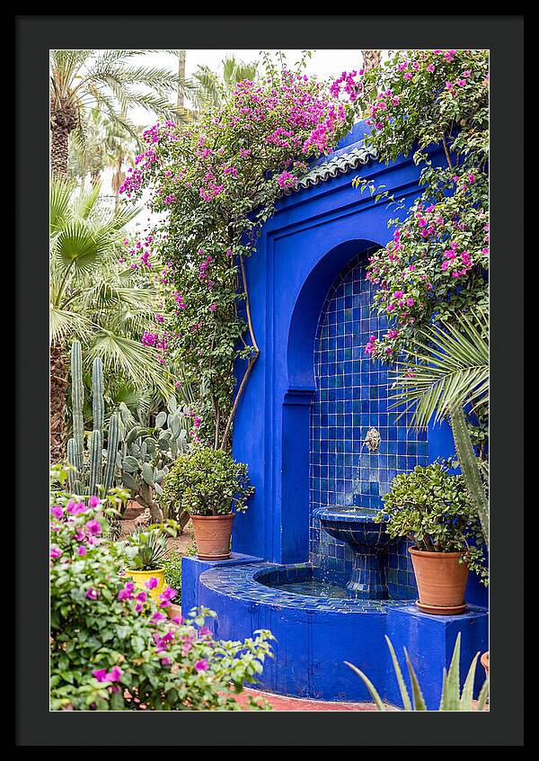 Majorelle Garden Tranquility