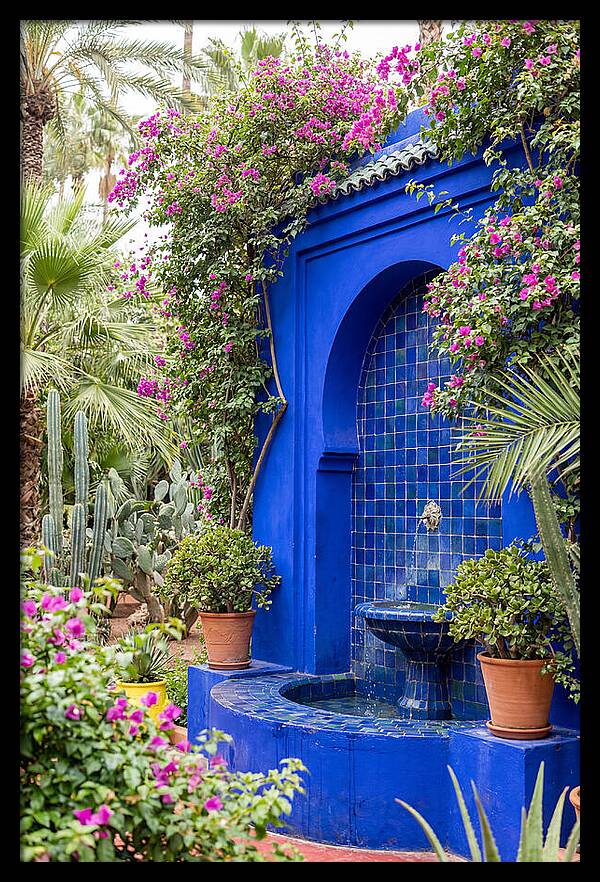 Majorelle Garden Tranquility
